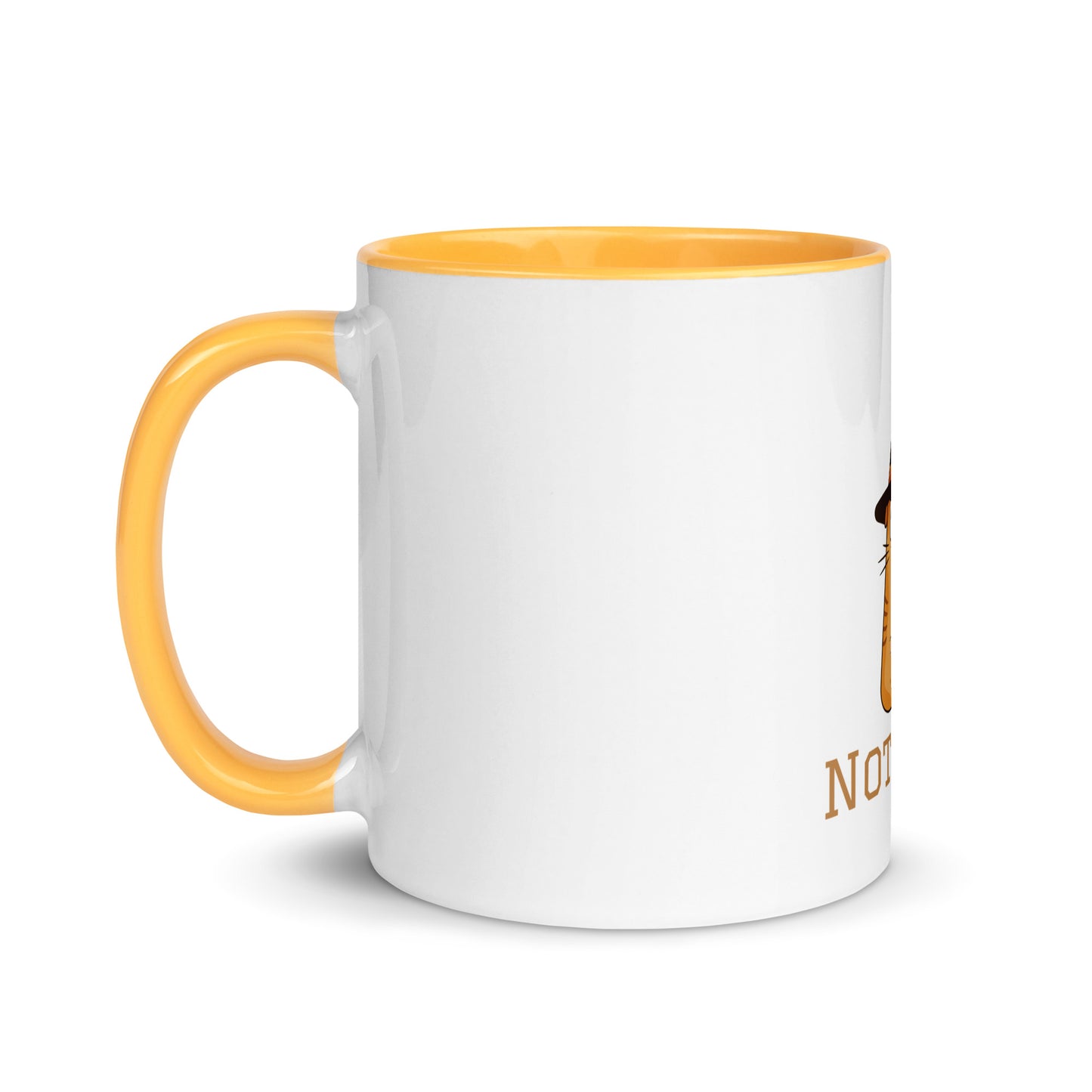 Cat Witch Mug with Color Inside